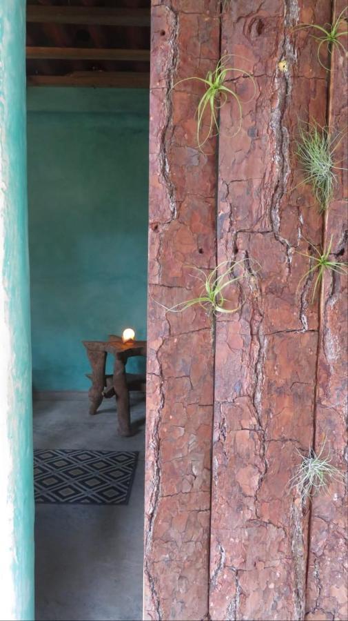 Casita Tonina Bed & Breakfast Ocosingo Eksteriør bilde